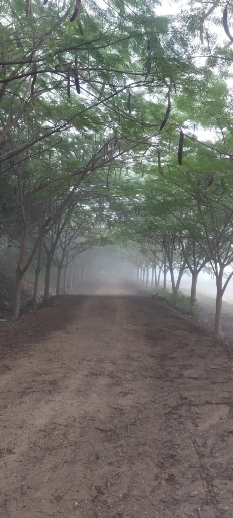 Agro-tourism near Pune