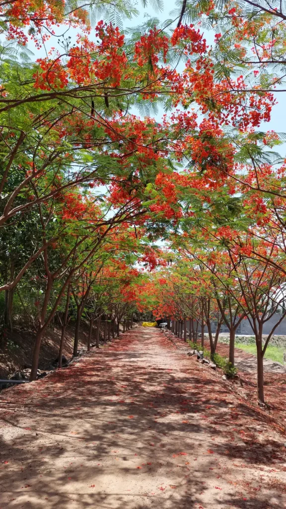 Sanskruti Agro Tourism