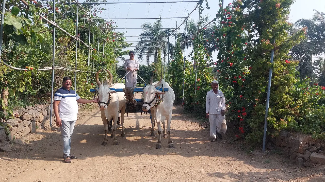 Agro Tourism Near PCMC