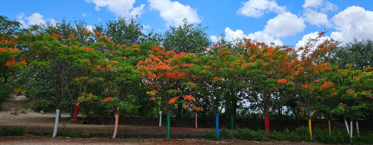 Best Monsoon Picnic Near Pune 5